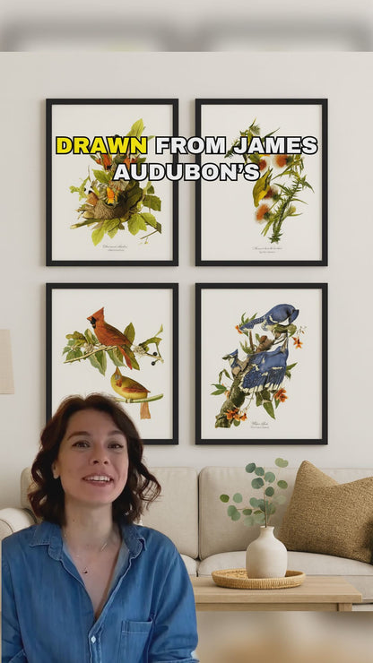 Audubon Bird Art Print Set – Matched Collection of 4 Vintage Wild Bird Illustrations