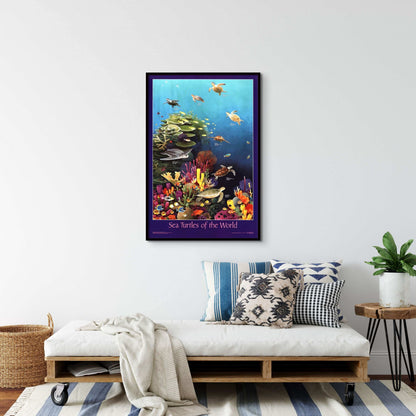 Sea Turtles Of The World - Charting Nature