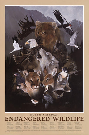 Endangered Wildlife Poster - Charting Nature