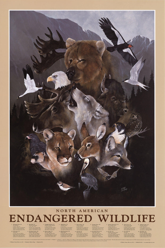 Endangered Wildlife Laminated Poster