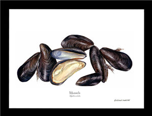 Mussels