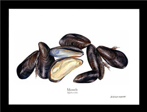 Shellfish Print: Mussels