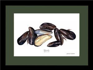 Shellfish Print: Mussels