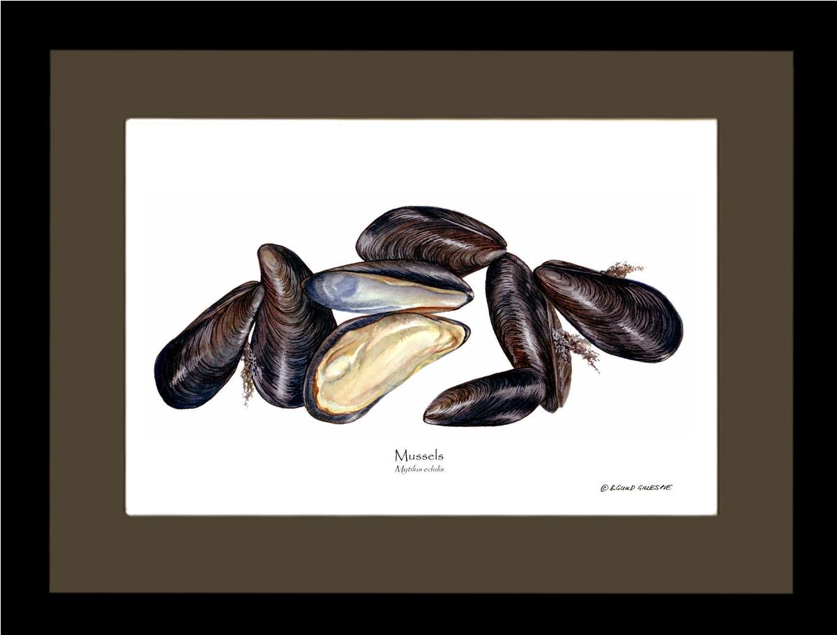 Mussels | Wall Art Shellfish Print