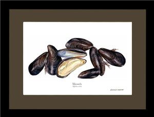 Shellfish Print: Mussels