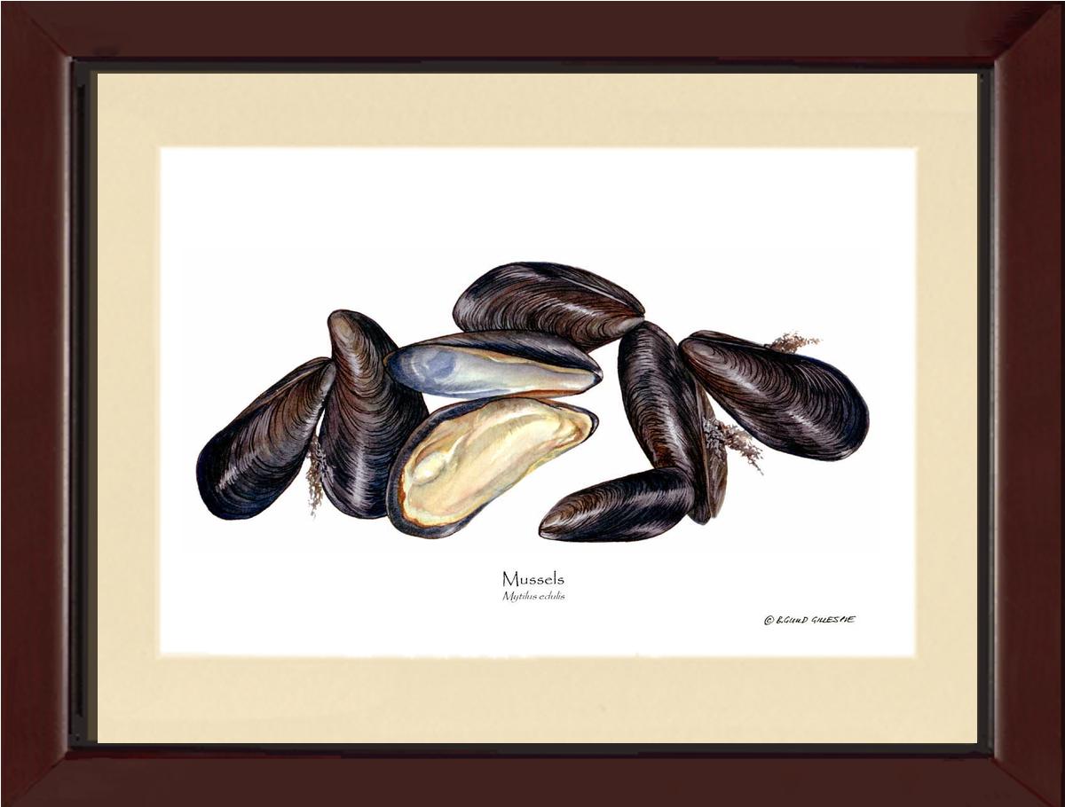 Mussels | Wall Art Shellfish Print
