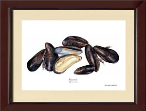 Shellfish Print: Mussels