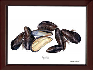 Shellfish Print: Mussels