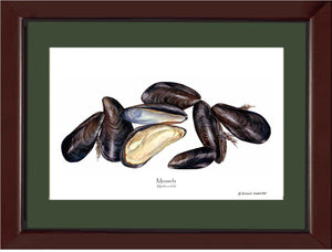 Shellfish Print: Mussels