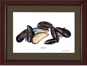 Shellfish Print: Mussels