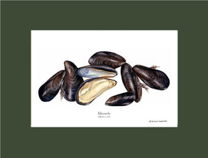 Shellfish Print: Mussels