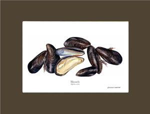 Shellfish Print: Mussels