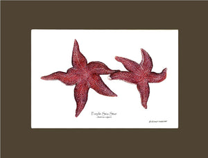 Shellfish Print: Sea Star, Purple