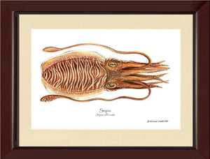Shellfish Print: Sepia