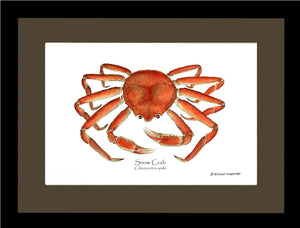 Crab, Snow | Wall Art Shellfish Print