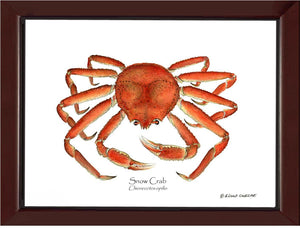 Crab, Snow | Wall Art Shellfish Print