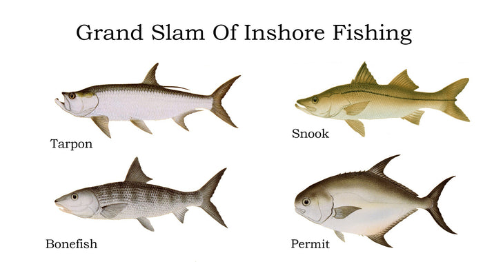 Grand Slam Fishing Notecards - Fish and Shellfish Assorted