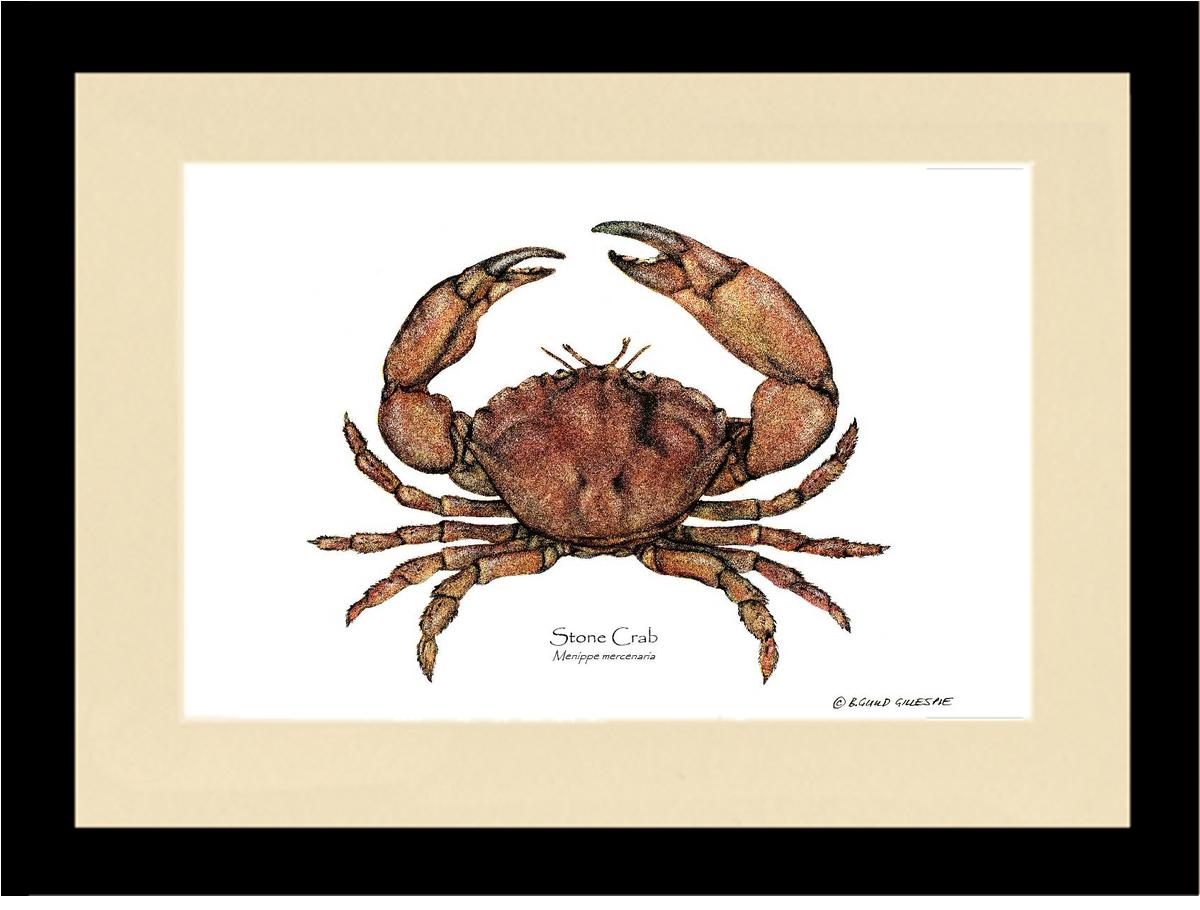 Crab, Stone | Wall Art Shellfish Print