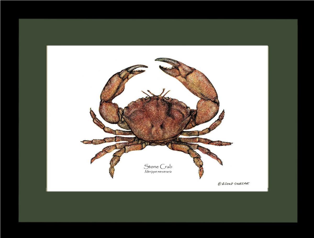 Crab, Stone | Wall Art Shellfish Print