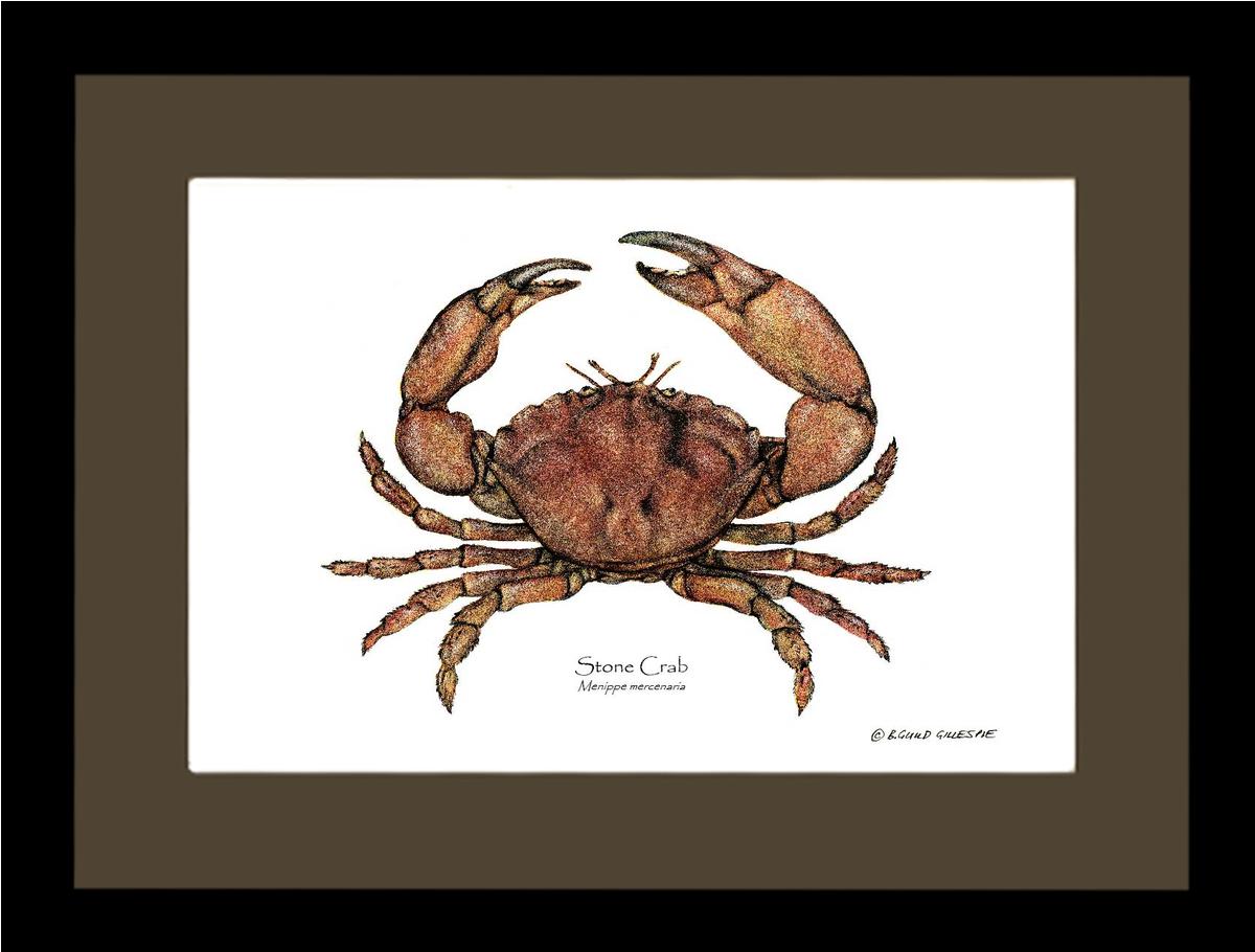 Crab, Stone | Wall Art Shellfish Print