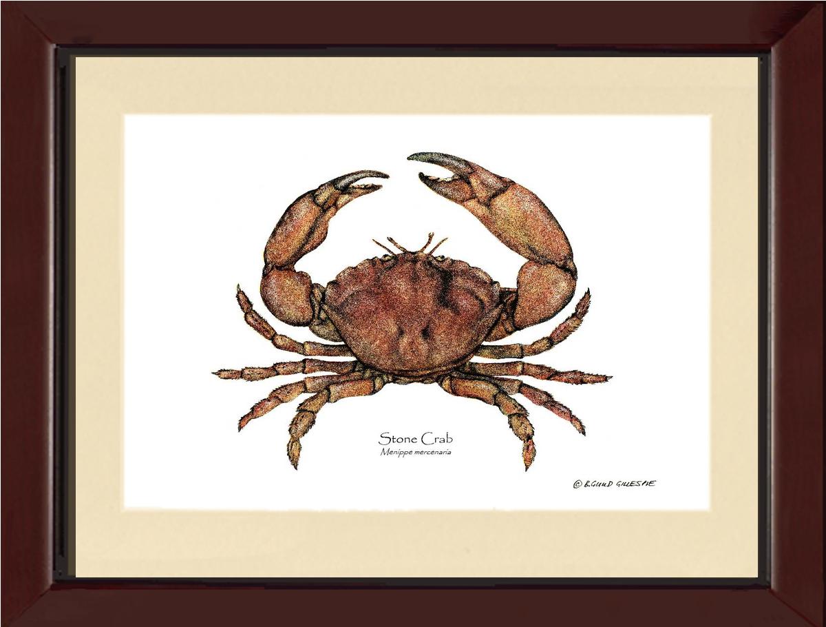 Crab, Stone | Wall Art Shellfish Print
