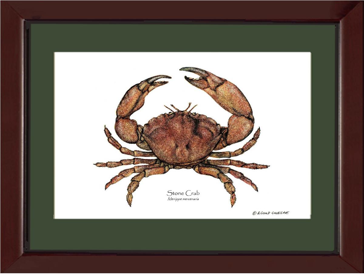 Crab, Stone | Wall Art Shellfish Print