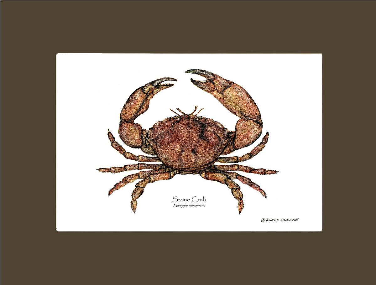 Crab, Stone | Wall Art Shellfish Print