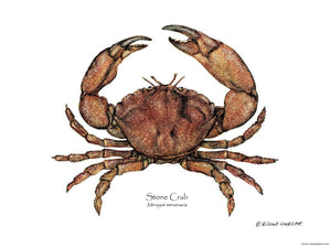 Shellfish Print: Crab, Stone