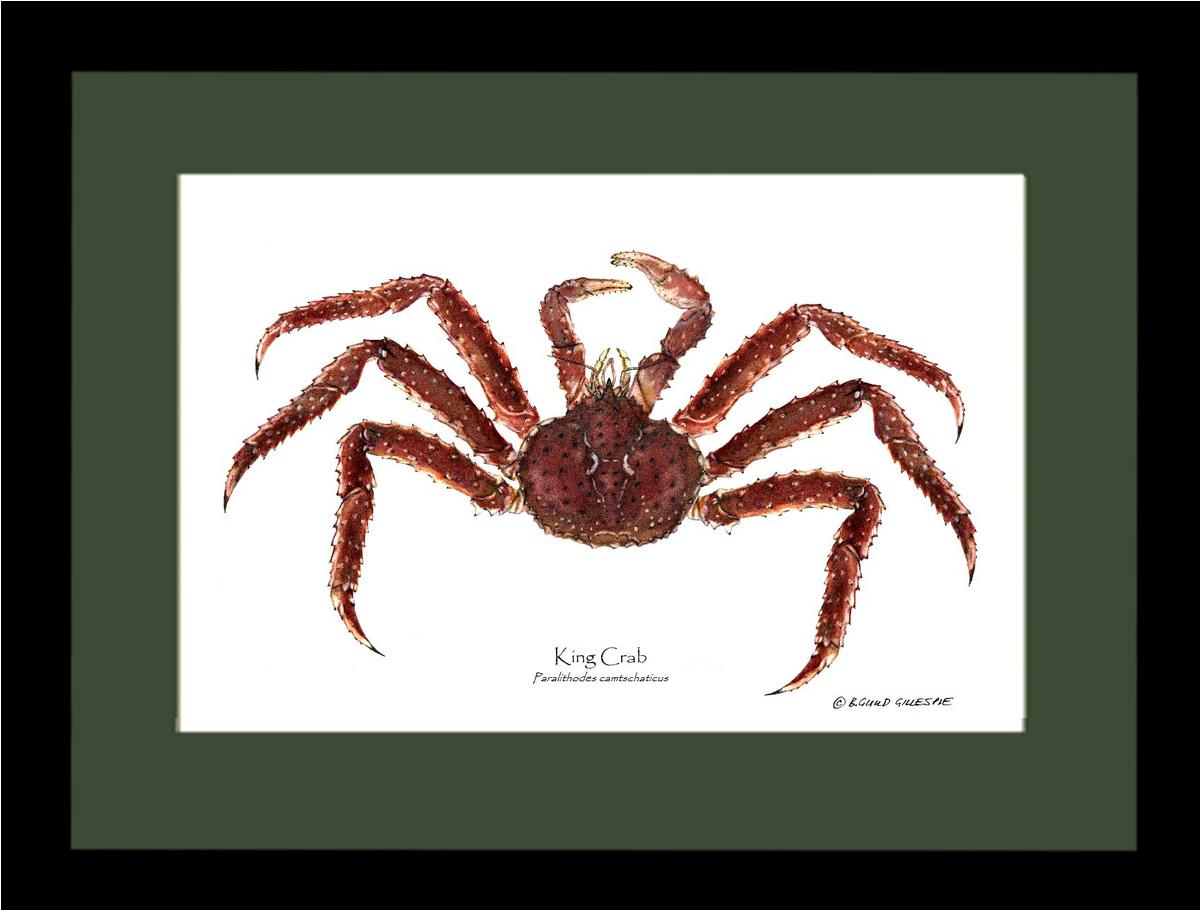 Crab, King | Wall Art Shellfish Print