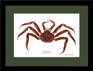 Crab, King | Wall Art Shellfish Print