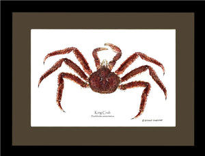 Crab, King | Wall Art Shellfish Print