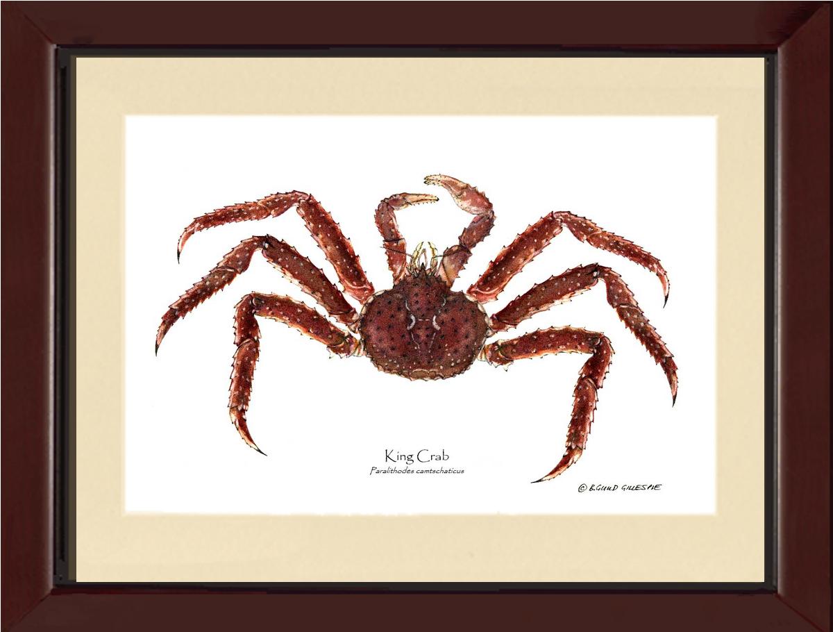 Crab, King | Wall Art Shellfish Print
