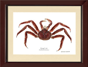 Crab, King | Wall Art Shellfish Print