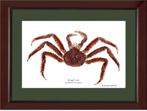 Crab, King | Wall Art Shellfish Print