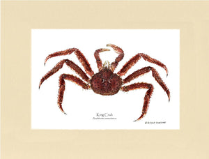 Crab, King | Wall Art Shellfish Print