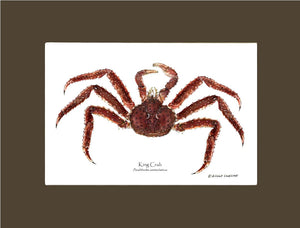 Crab, King | Wall Art Shellfish Print