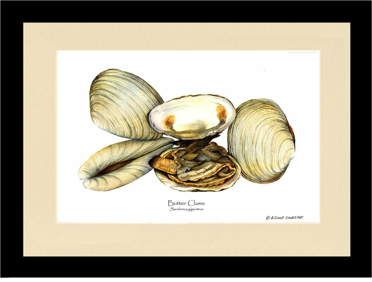 Clams, Butter | Wall Art Shellfish Print
