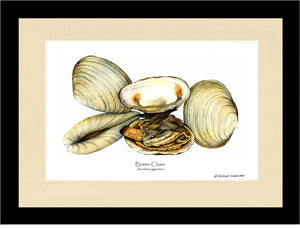 Clams, Butter