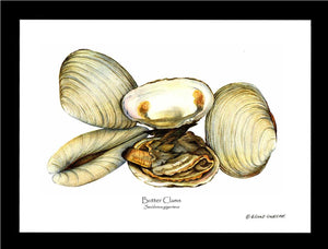 Clams, Butter