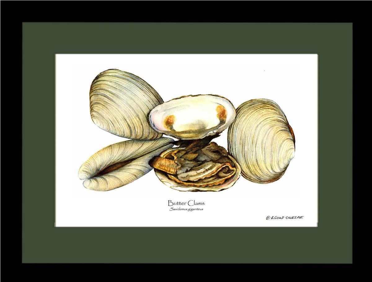 Clams, Butter | Wall Art Shellfish Print