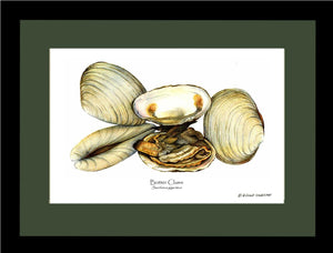 Clams, Butter