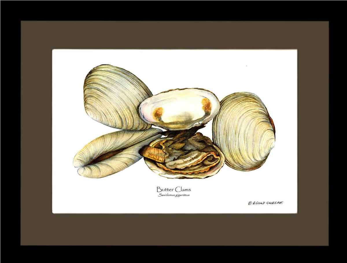 Clams, Butter | Wall Art Shellfish Print