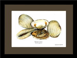 Clams, Butter