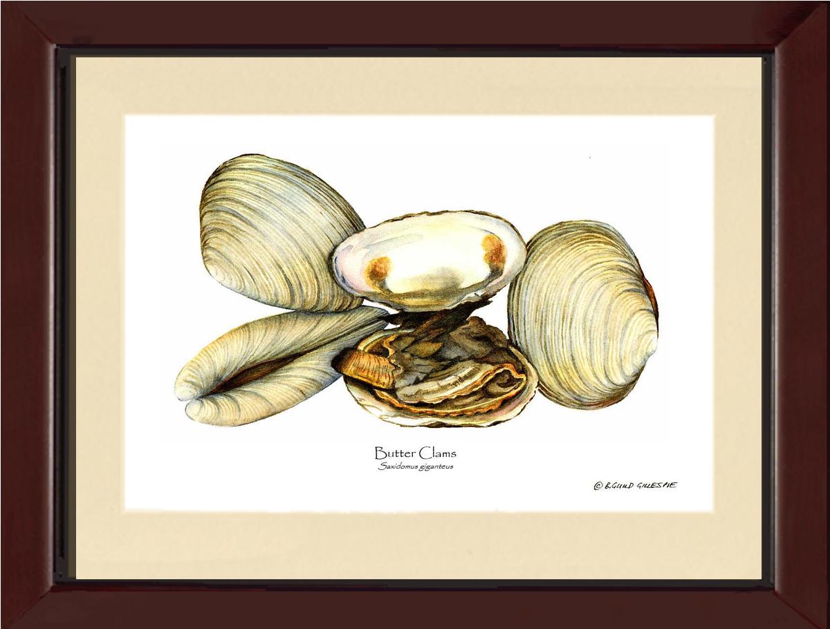 Clams, Butter | Wall Art Shellfish Print