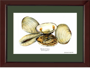 Clams, Butter