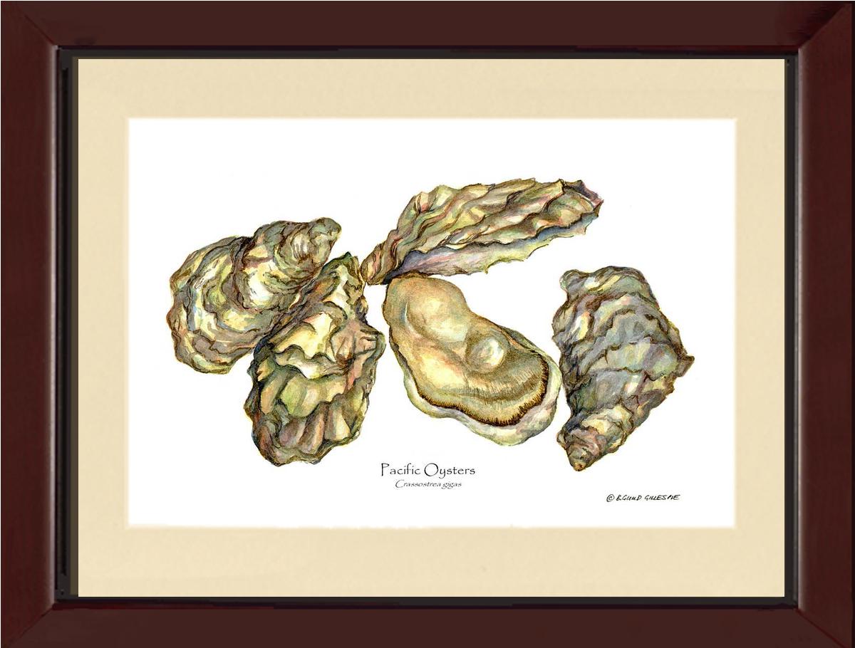 Shellfish Print: Oysters, Pacific | Wall Art Shellfish Print