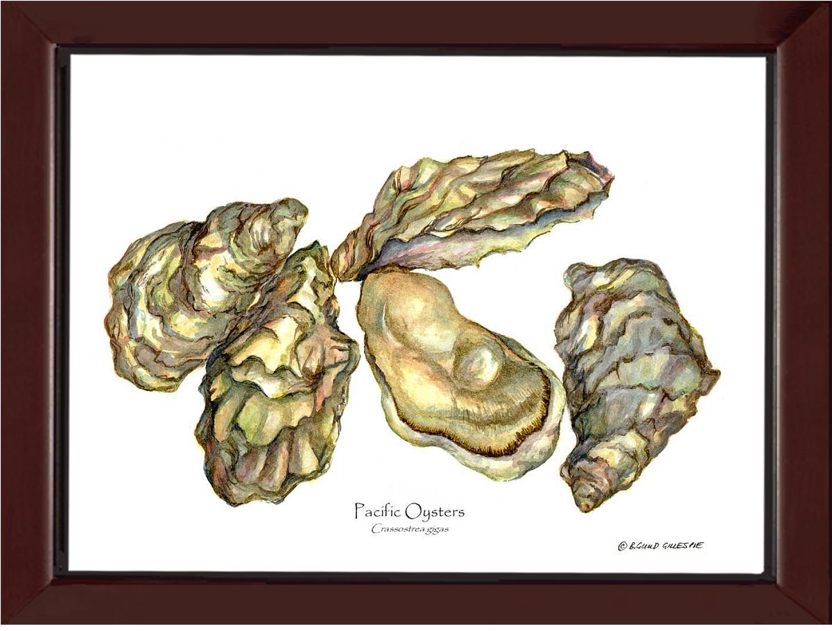 Shellfish Print: Oysters, Pacific | Wall Art Shellfish Print