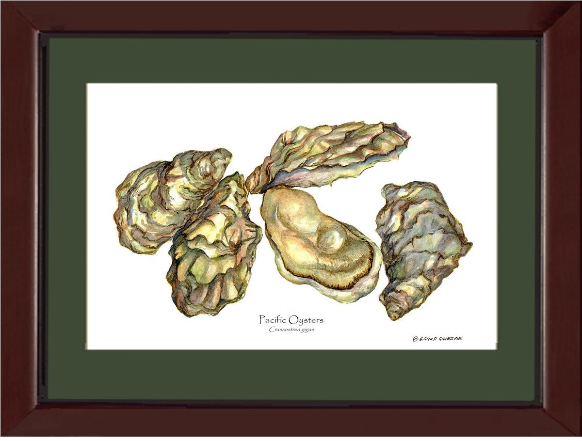 Shellfish Print: Oysters, Pacific | Wall Art Shellfish Print
