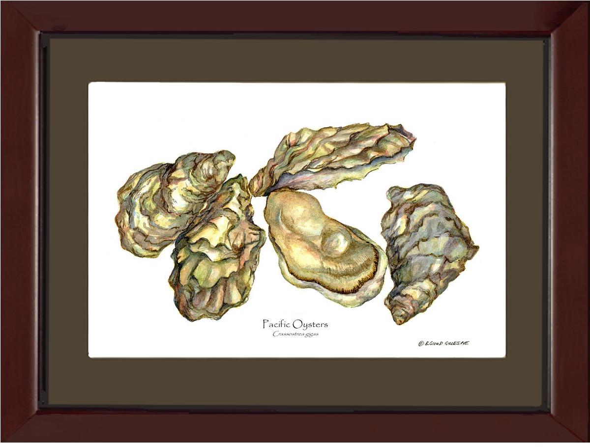 Shellfish Print: Oysters, Pacific | Wall Art Shellfish Print