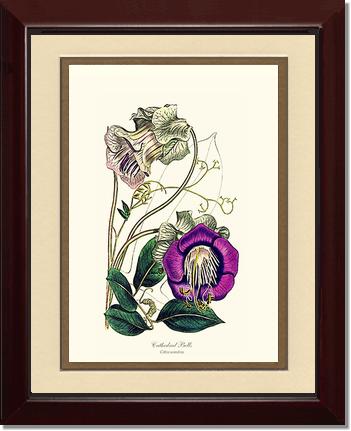Cathedral Bells | Flower/Floral Art Print